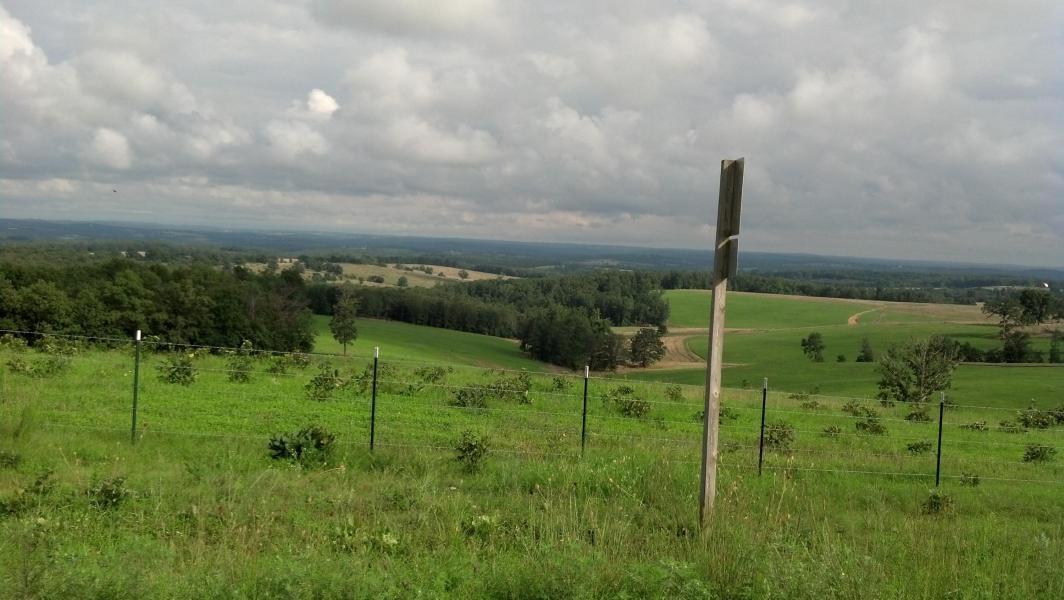 8300 Mo-17 - Photo 1