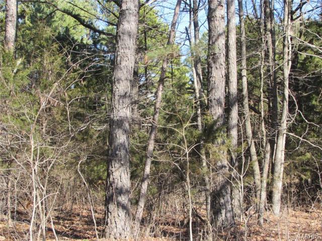 000 Boone Creek Road - Photo 1