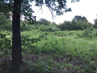 7048 Farm Rd 209 - Photo 1