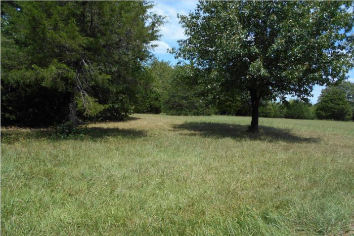 Lot #21 Wyldewood Ridge - Photo 1