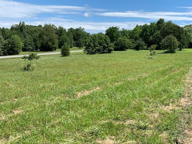 Lots 171 & 172 Arrow Pt - Photo 1