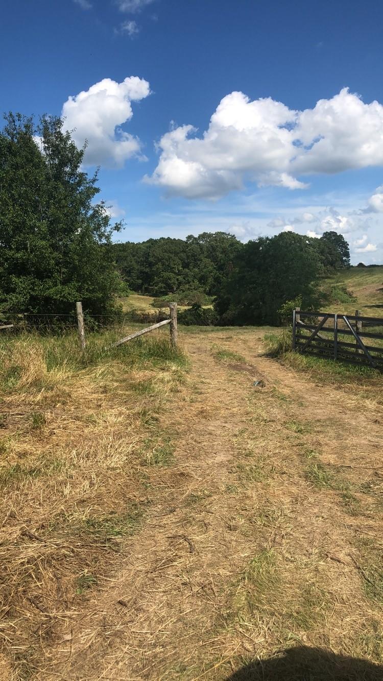 6205 County Road 1610 - Photo 1