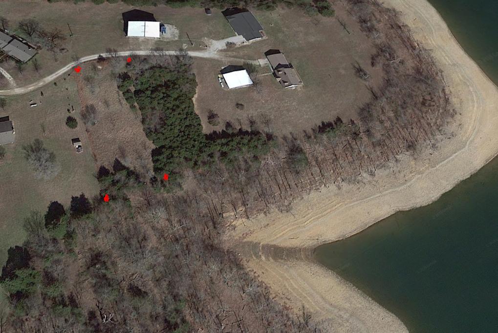 Lot 7 Buffalo Valley Trail - Photo 1