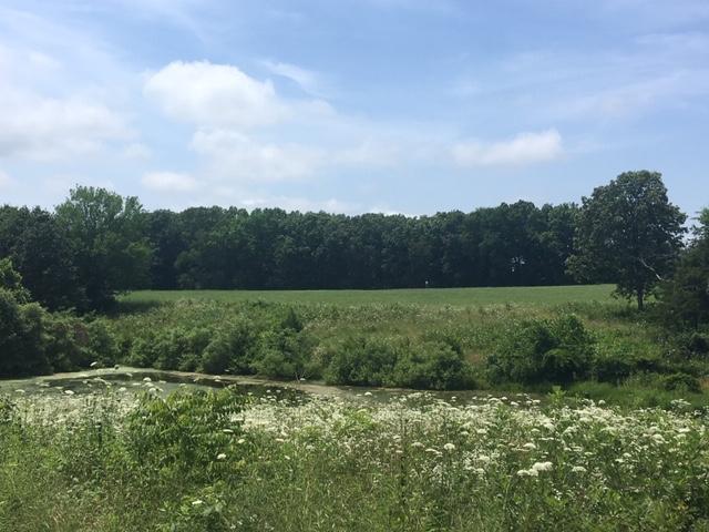16220 Swisher Road - Photo 1