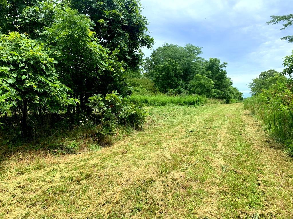 000 County Road 115 - Photo 1