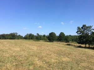 000 County Road 427 - Photo 1