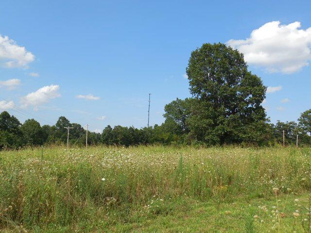 Tract 1 Pleasant Ridge Road - Photo 1