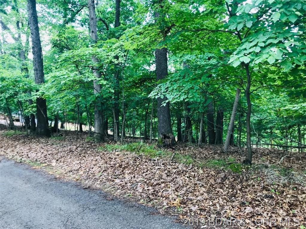 Lot 20&21 Winston Court - Photo 1