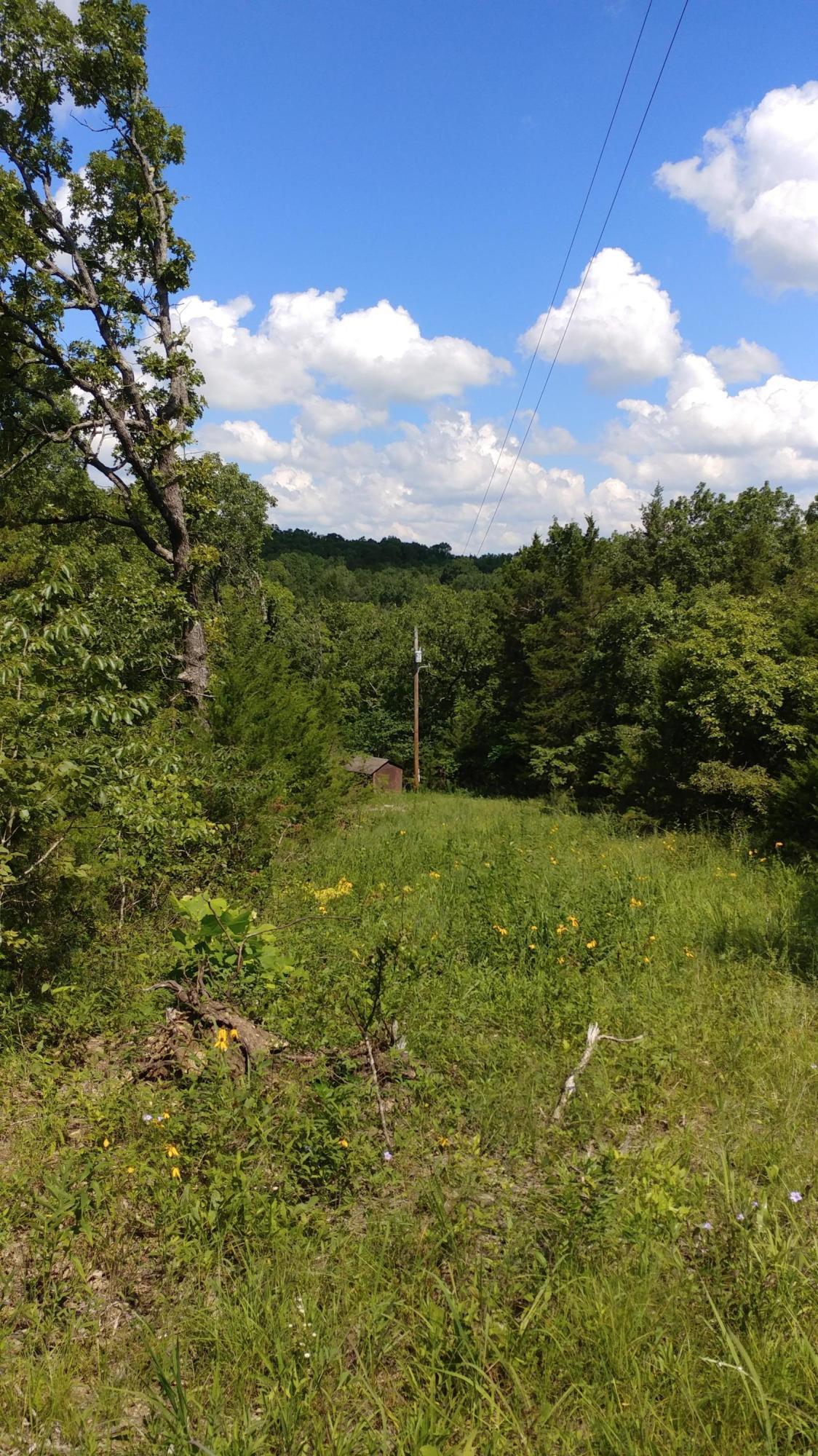 00000 Black Rock Trail - Photo 1