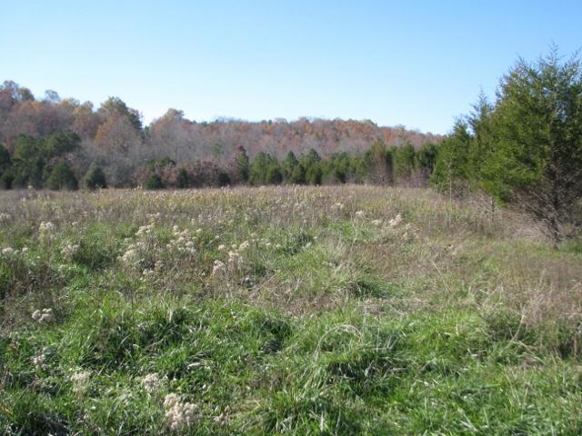 Tbd State Route H - Photo 1