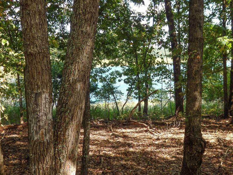 12/18 Lost Mine Road - Photo 1
