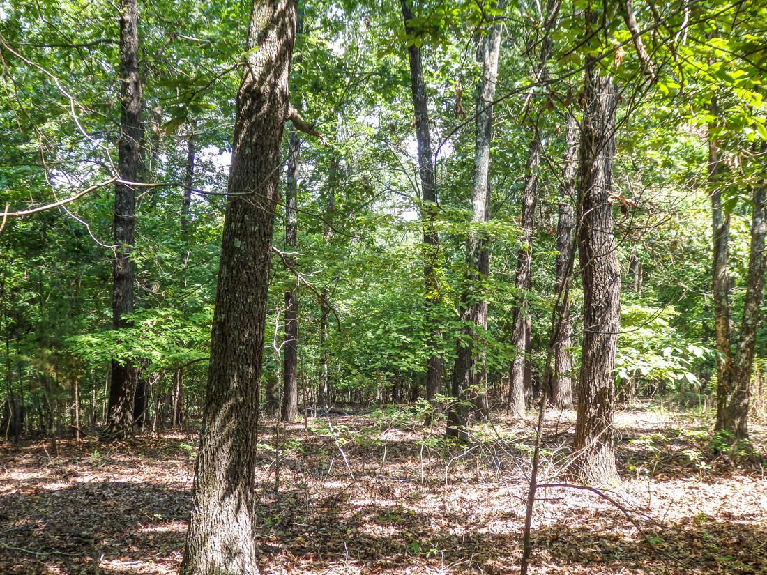 10/11 Lost Mine Road - Photo 1