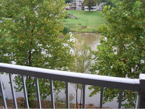 34 Golfshores Drive - Photo 1