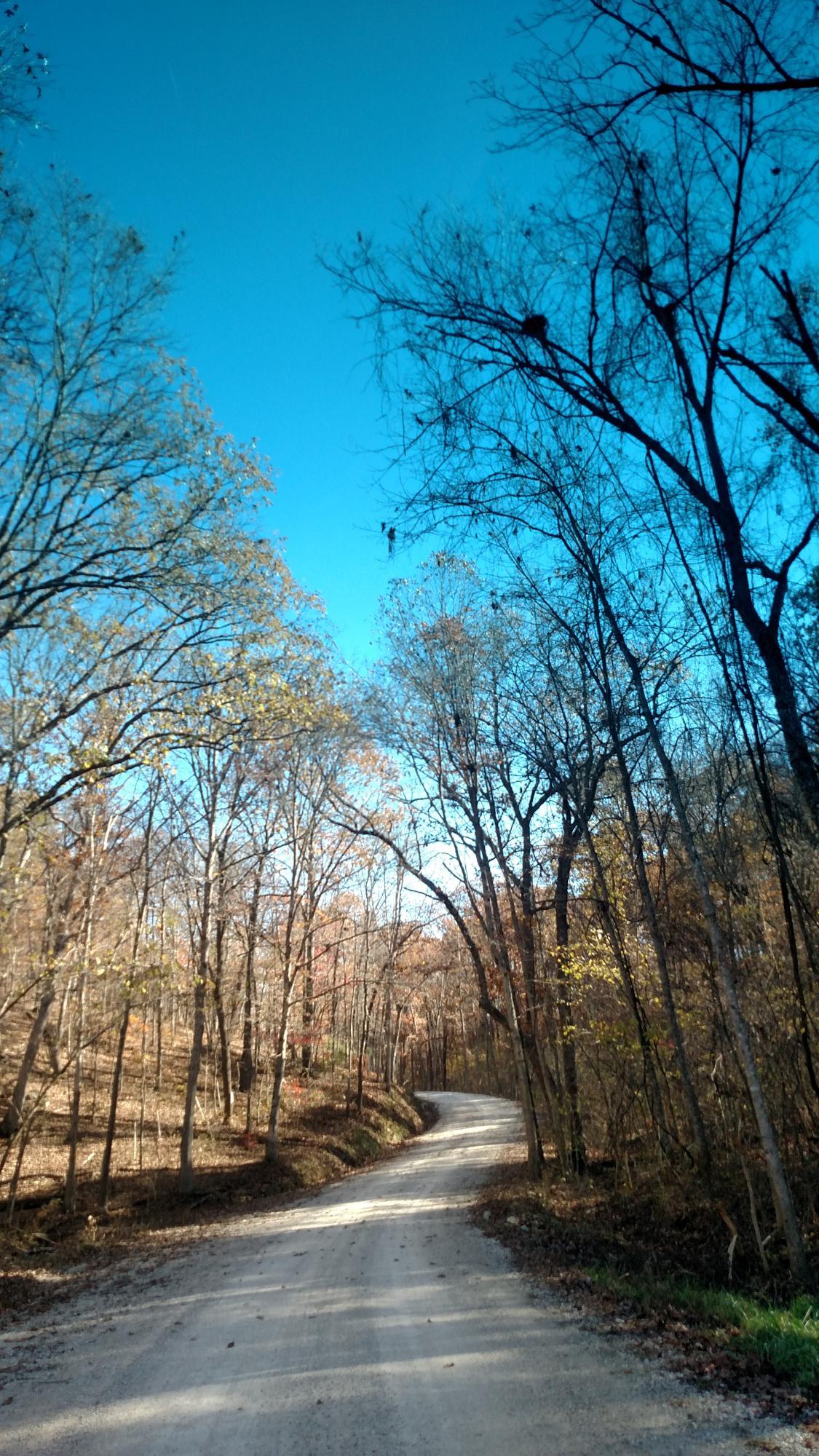 12 Acres Greatview Road - Photo 1