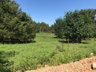 3811 Upper Mill Creek Road - Photo 1