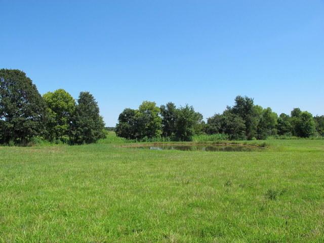 Tbd Poinsetta Road - Photo 1