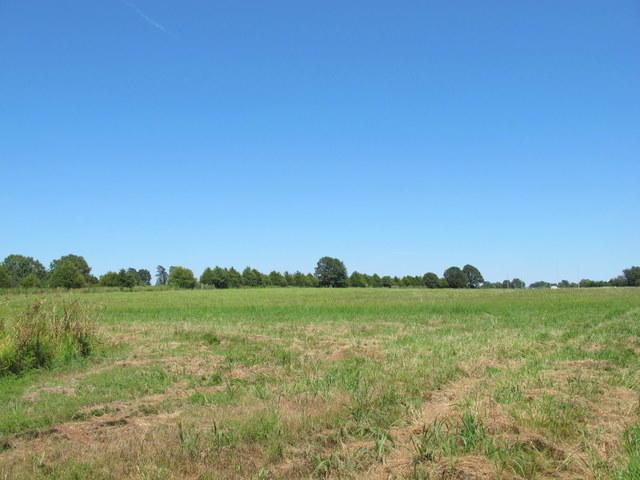 Tbd Aloe Road - Photo 1