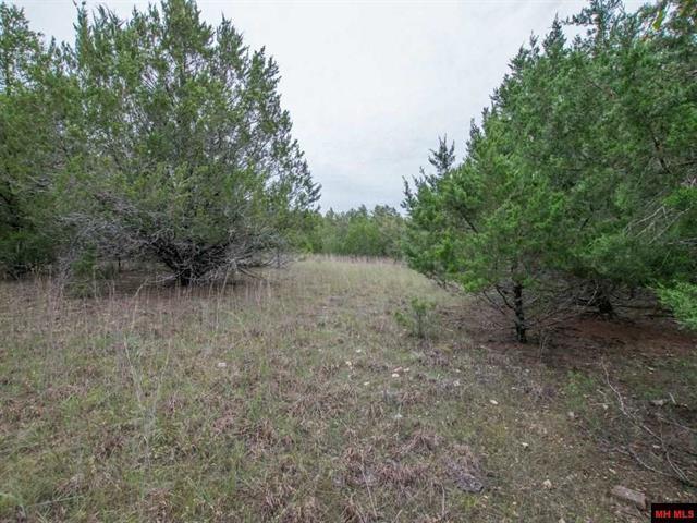 Lots 5-14 Mcbride Road Road - Photo 1