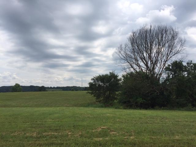 Lot 36 Songbird Circle - Photo 1