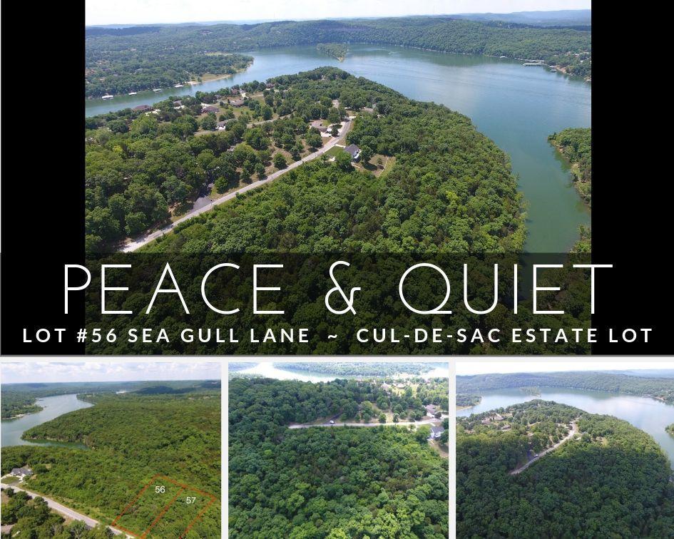 Lot 56 Sea Gull Lane - Photo 1