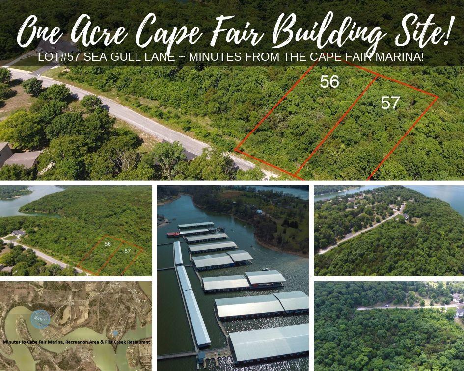 Lot 57 Sea Gull Lane - Photo 1