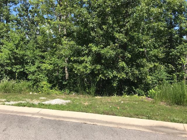 132 Shinnecock Hills Drive - Photo 1