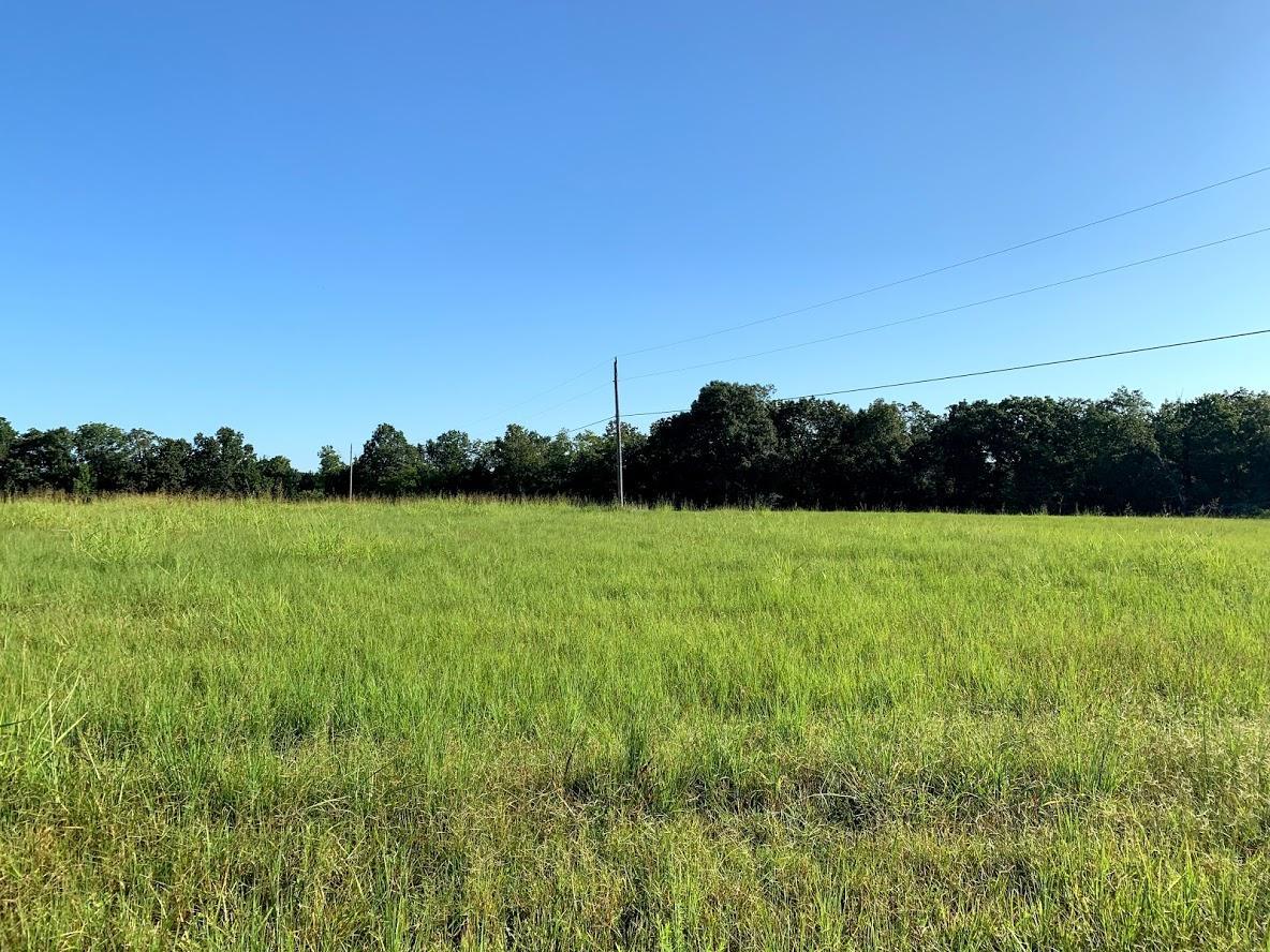 Tbd Buck Creek Drive - Photo 1 Tbd Buck Creek Drive - Photo 1