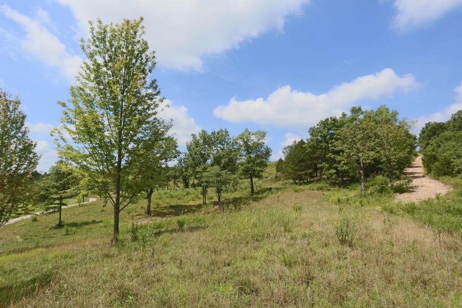 Tbd Gobblers Knob - Photo 1
