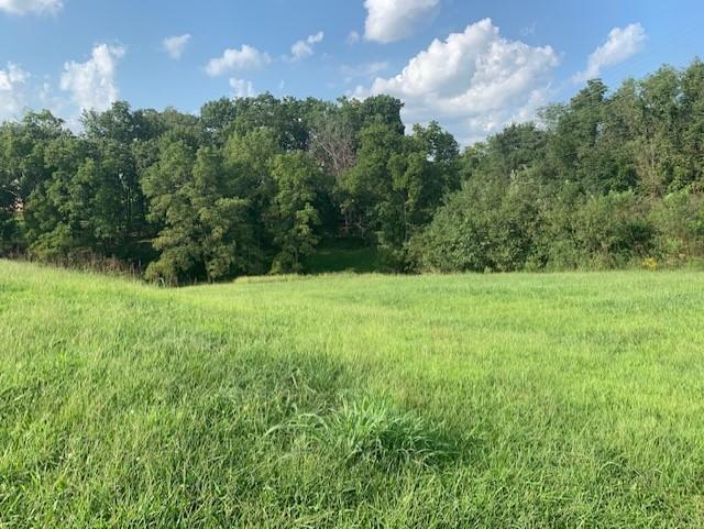 341-Lot 32 Ph 2 Kelb Monarchwood Drive - Photo 1