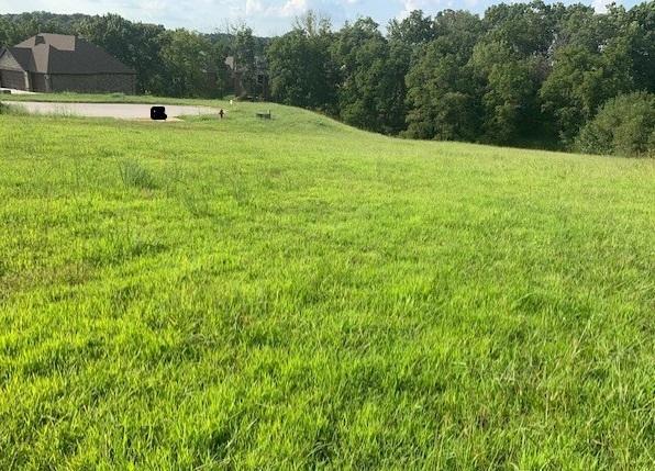 340-Lot 31 Ph 2 Kelb Monarchwood Drive - Photo 1