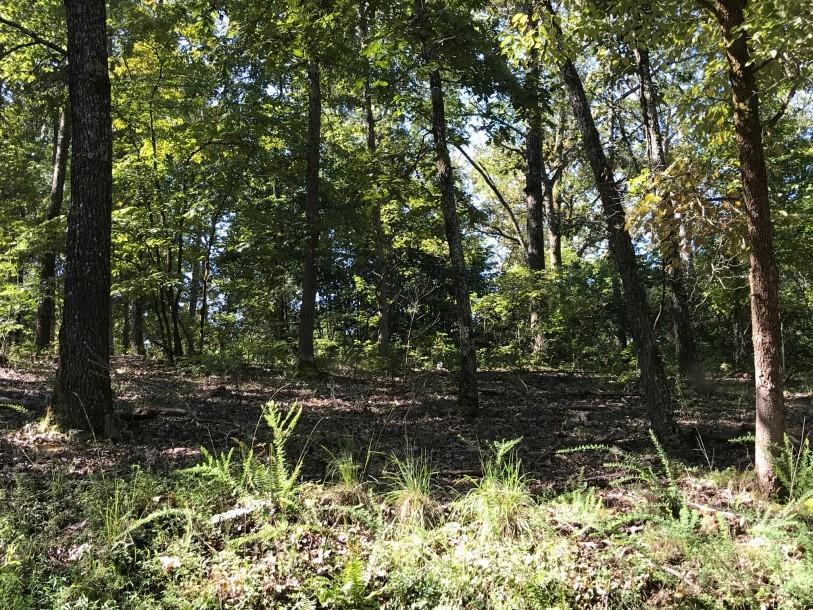 Lot 9 Mckee Village Road - Photo 1