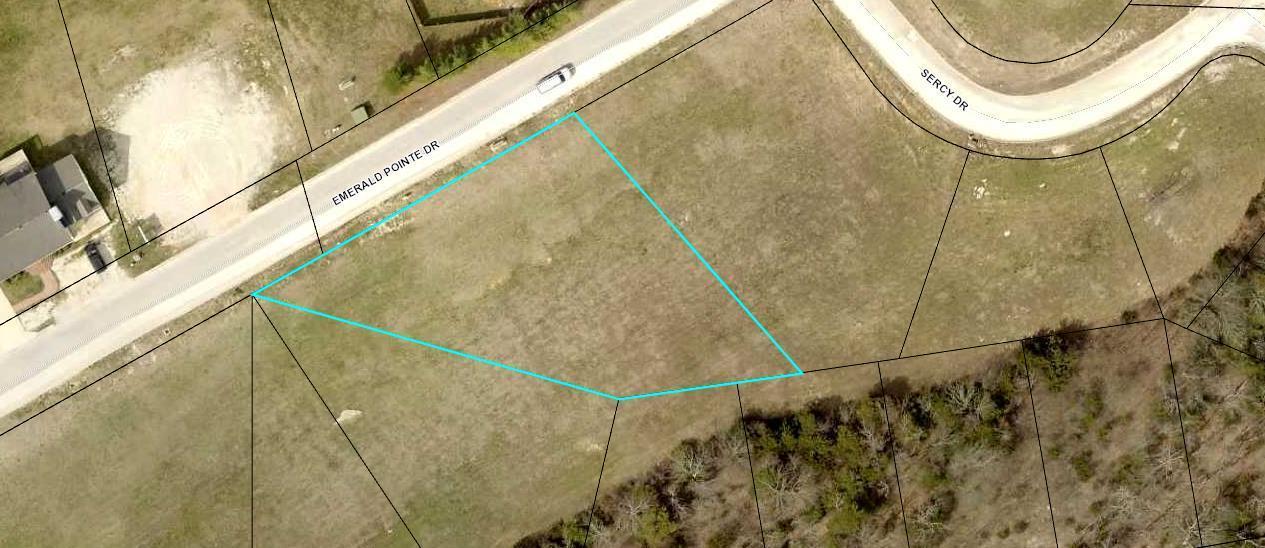 Tbd Emerald Point Drive - Photo 1