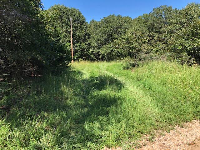 Tbd Muleshoe Trl - Photo 1 Tbd Muleshoe Trl - Photo 1