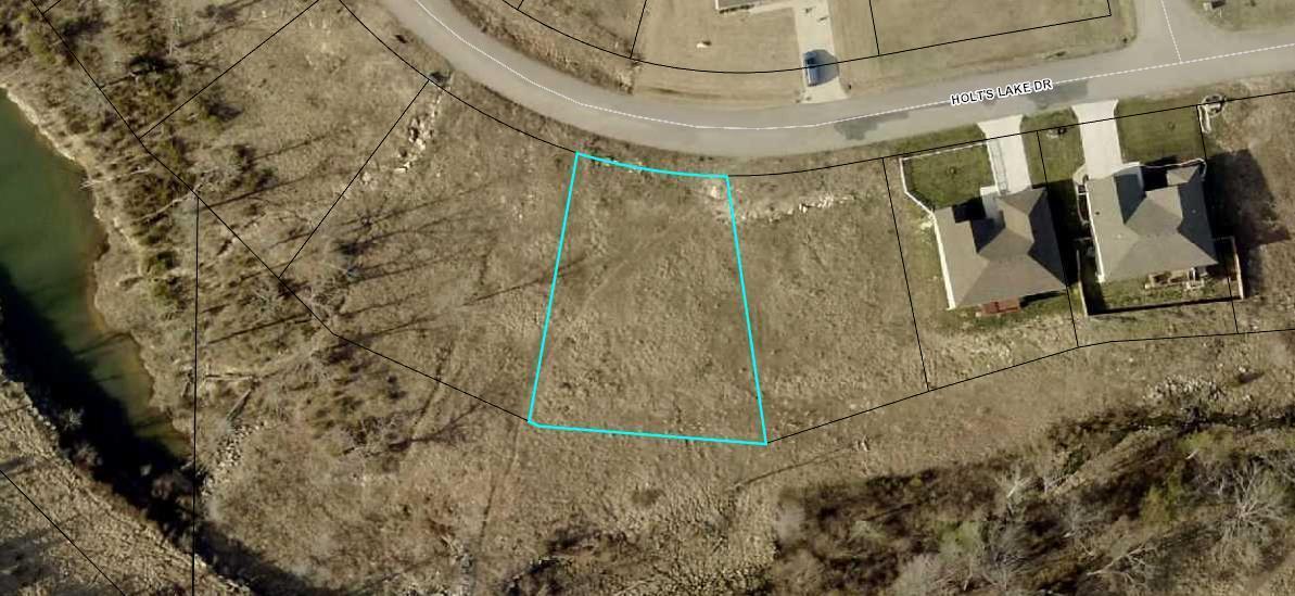 450 Holt's Lake (Lot 36) - Photo 1