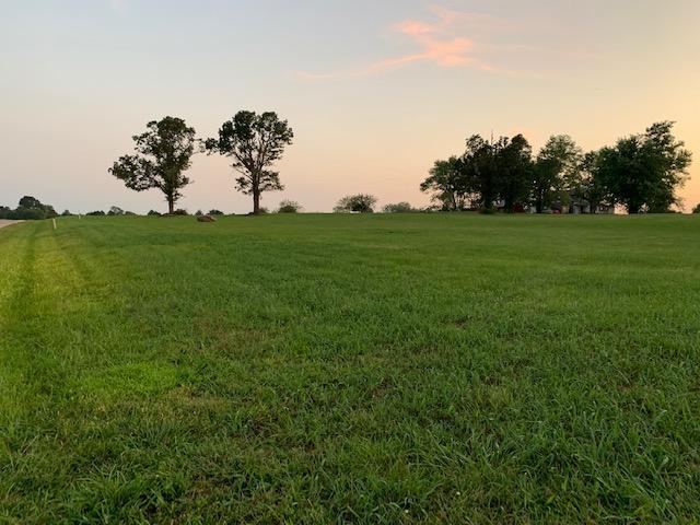 Lot 5 Twin Pine Estates - Photo 1