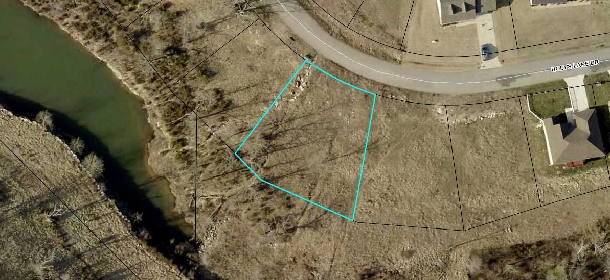 440 Holt's Lake Lot 37 Drive - Photo 1