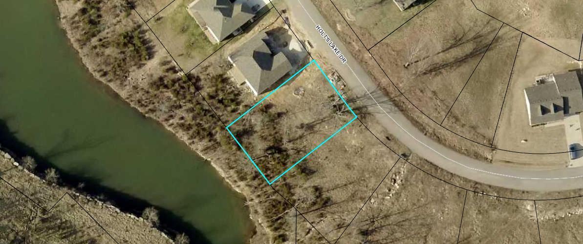406 Holt's Lake Lot 39 Drive - Photo 1