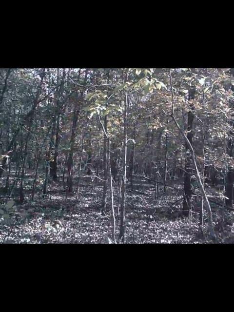 Tbd Lakeview Trail - Photo 1