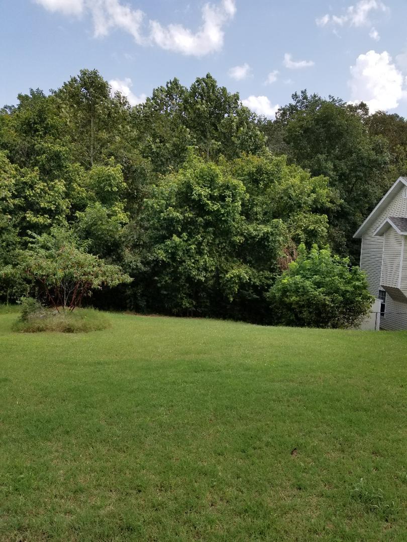 141 Hideaway Street - Photo 1