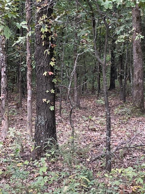 16445 County Road 6220 - Photo 1