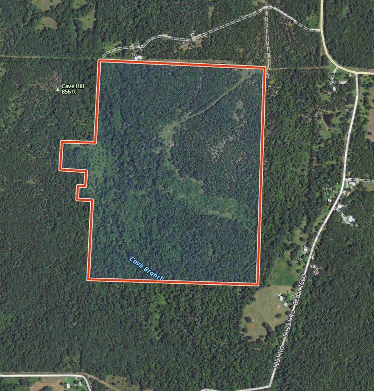0-Tract 1 1251 Road - Photo 1