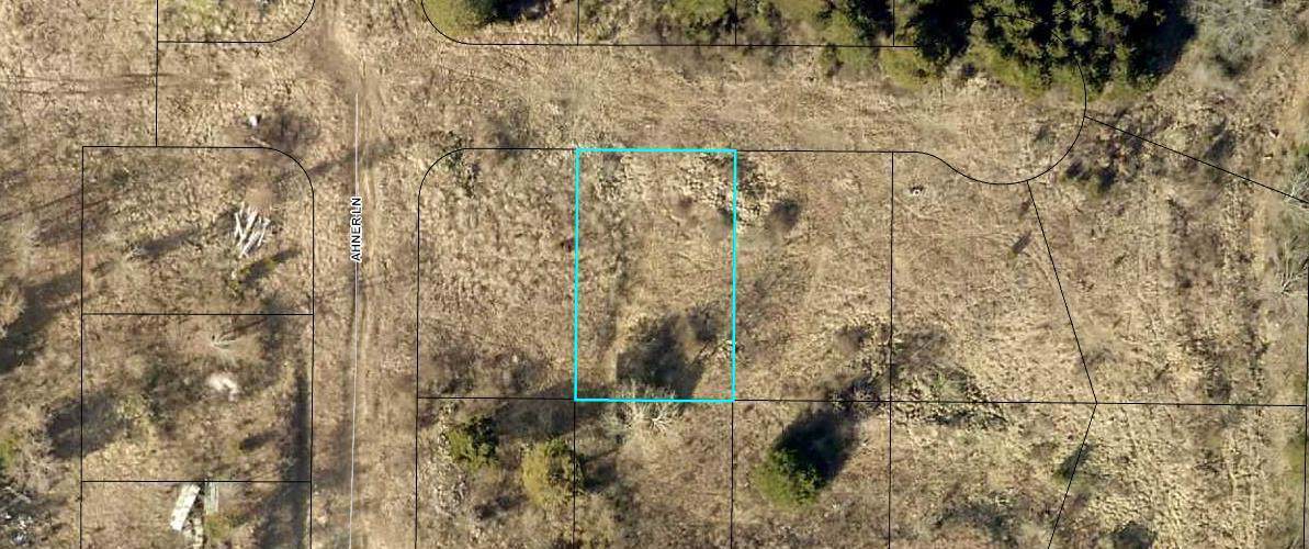 180 Bald Cypress (Lot #42) Court - Photo 1