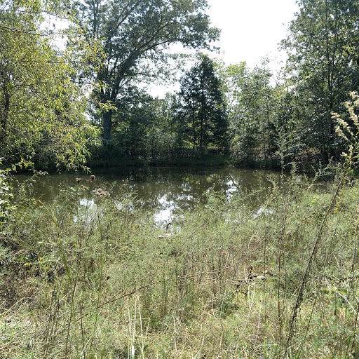 6417 Hwy Z - Photo 1