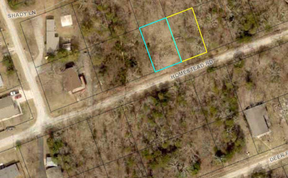 Lots 20,21 Homestead Road - Photo 1 Lots 20,21 Homestead Road - Photo 1