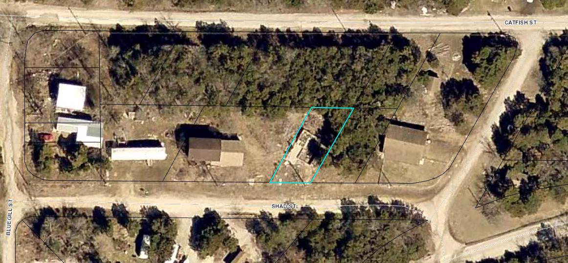 159 Shad Street - Photo 1