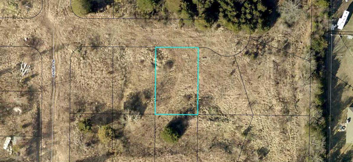 190 Bald Cypress Court (Lot 43) - Photo 1