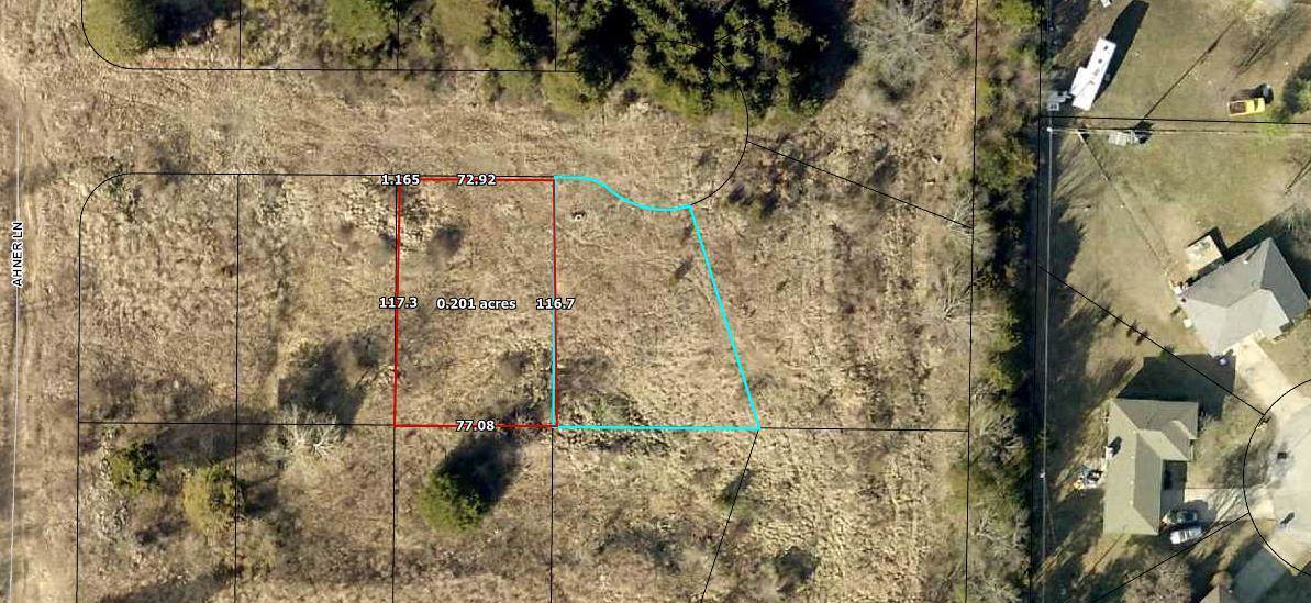 200 Bald Cypress Court (Lot 44) - Photo 1