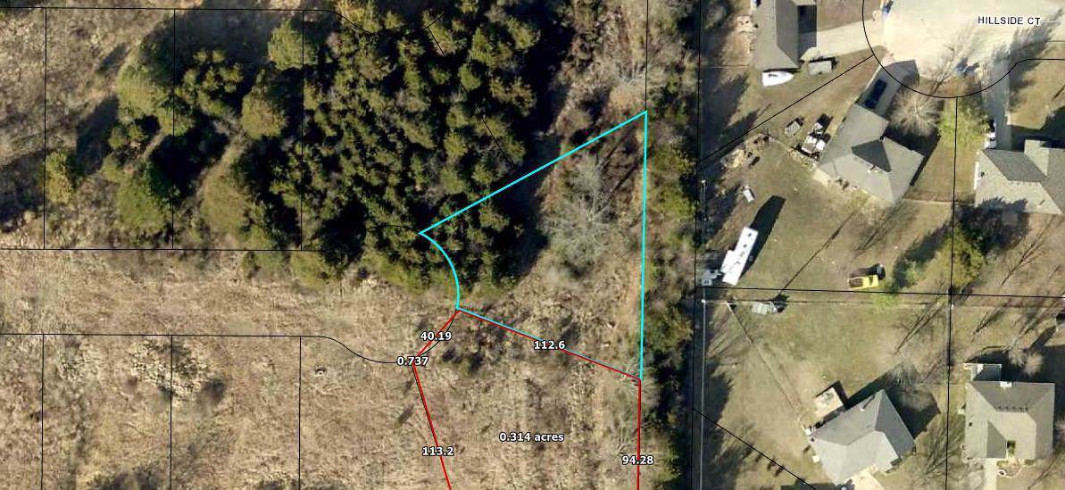 209 Bald Cypress Court (Lot 46) - Photo 1