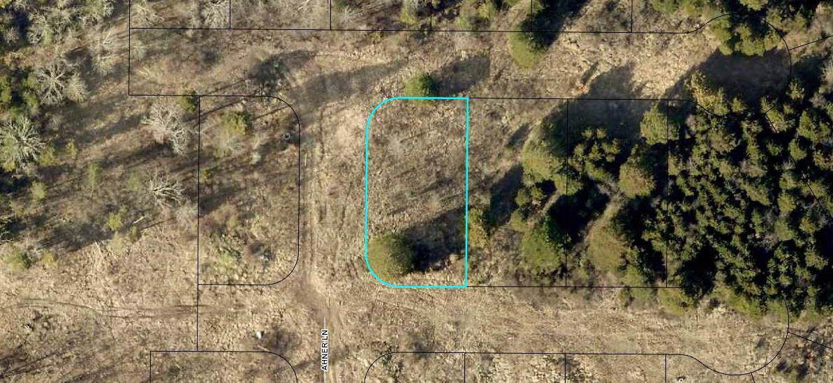 205 Bald Cypress Court (Lot 47) - Photo 1