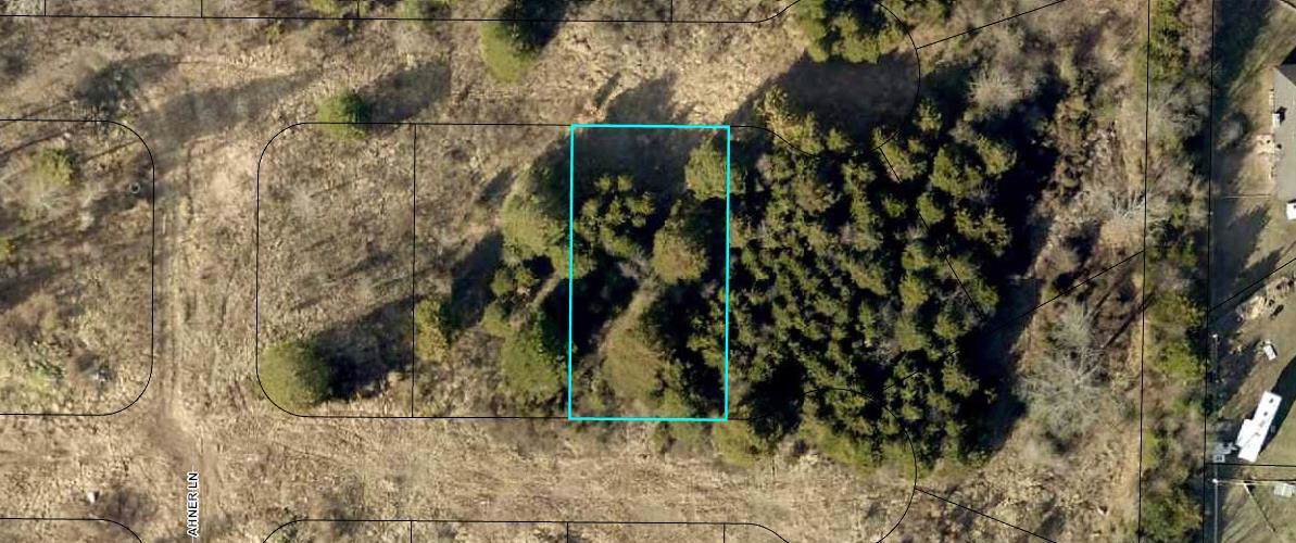 185 Bald Cypress Court (Lot 49A) - Photo 1